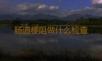 肠道梗阻做什么检查 